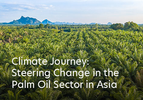 Climate Journey: Steering Change in the Palm Oil Sector in Asia
