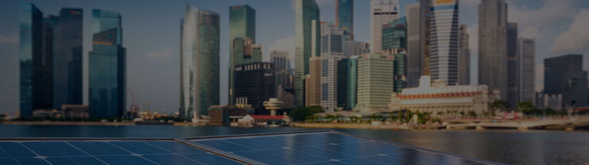 U-Solar programme in Singapore