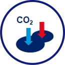 Carbon Credits/Offsets